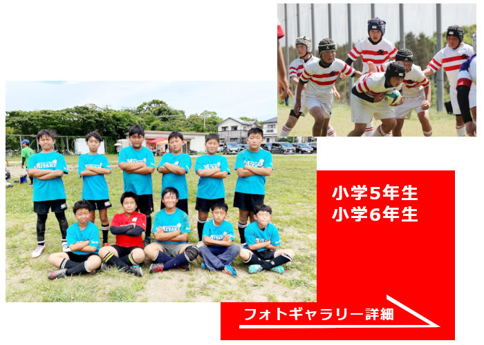 みやけヤングラガーズ高学年・小学5年生・小学6年生フォトギャラリー画像