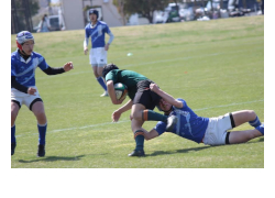 ラグビークラブ中学生画像t-24-7