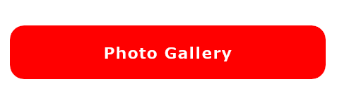 みやけヤングラガーズフォトギャラリー画像