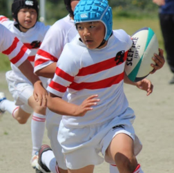 みやけヤングラガーズイメージ画像12